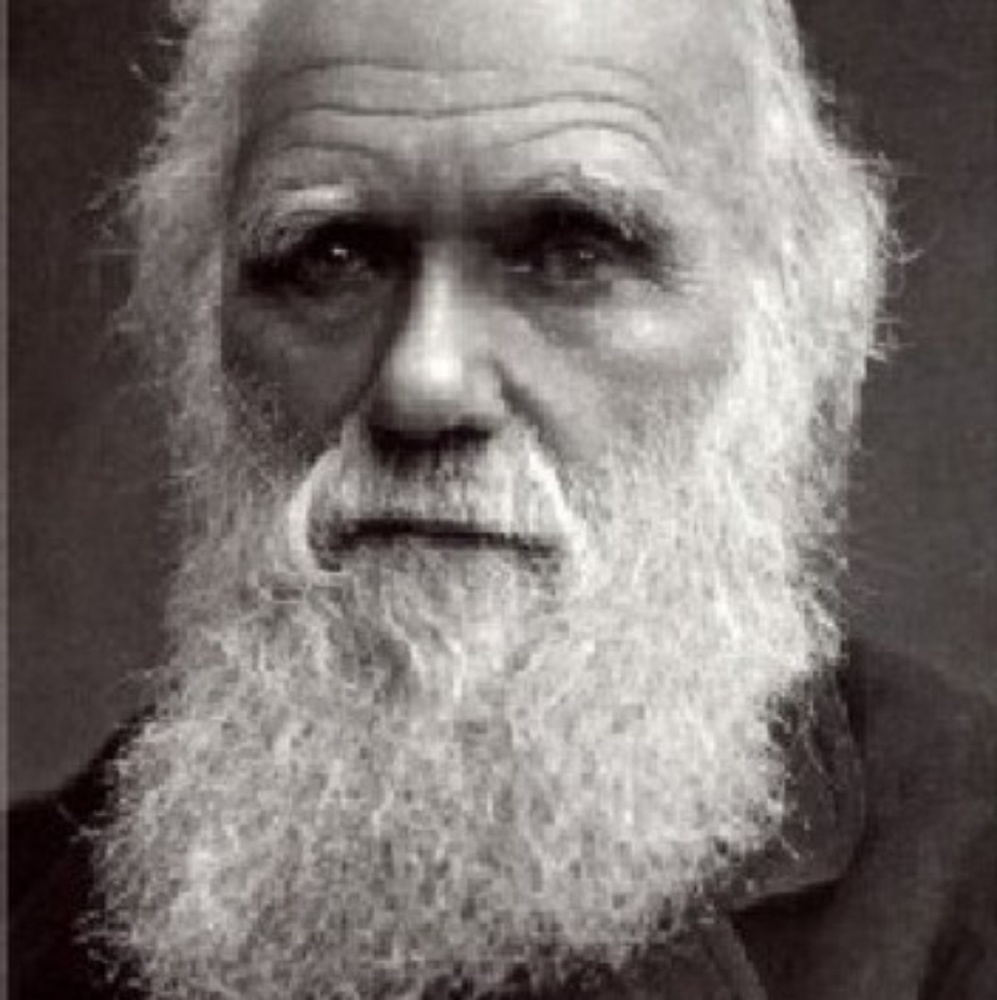 Meet your Posher, Billy